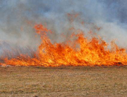 Comunicat de presă privind interdicția de incendiere necontrolată a miriştilor, stufului, tufărişurilor sau vegetaţiei ierboase